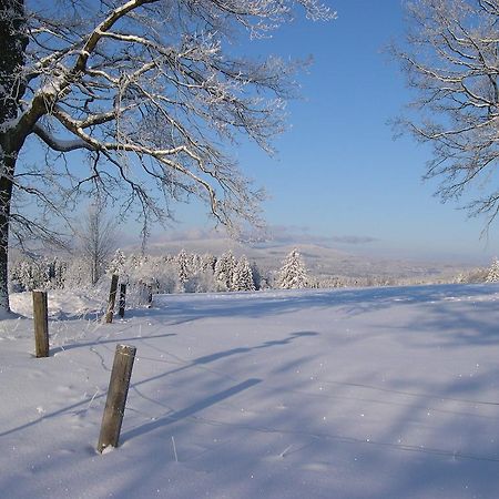 Luxury Apartment In Sumava Mountains Kristanov Εξωτερικό φωτογραφία