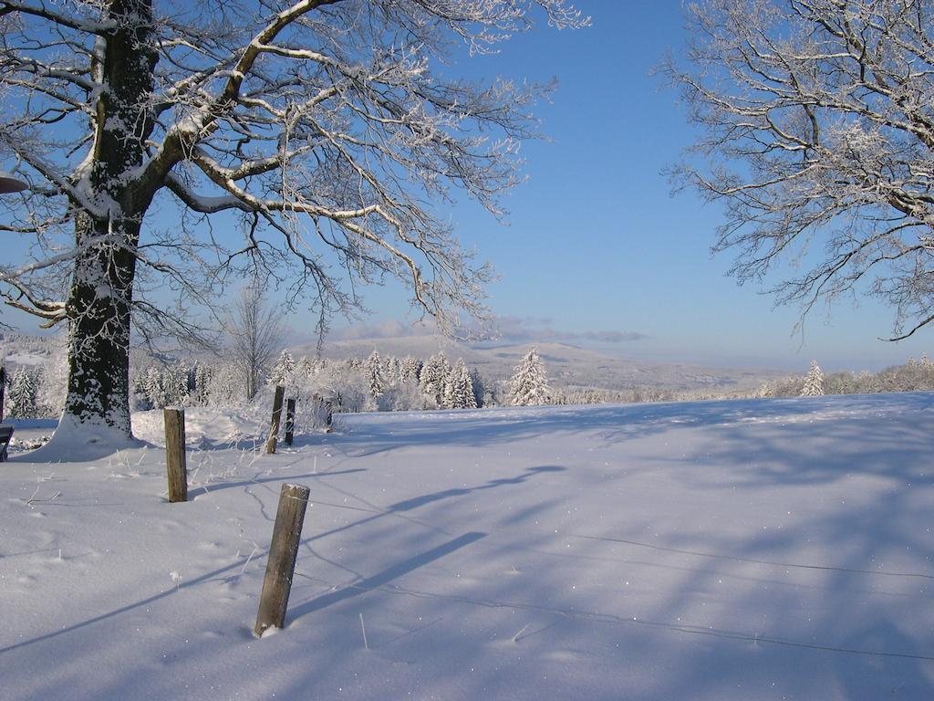 Luxury Apartment In Sumava Mountains Kristanov Εξωτερικό φωτογραφία